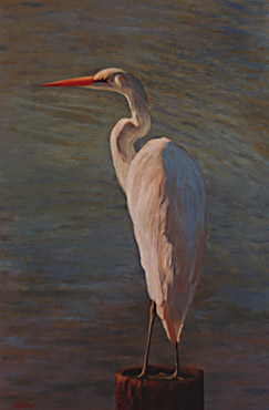 Large Egret