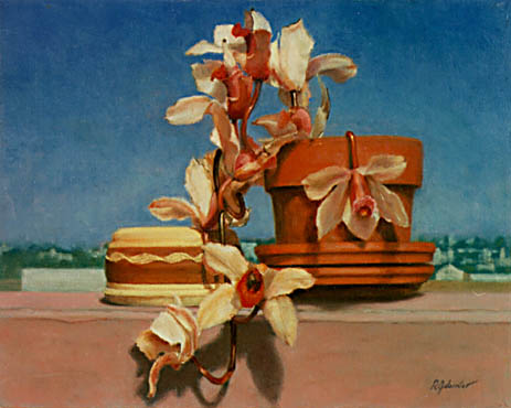 Urban Orchids